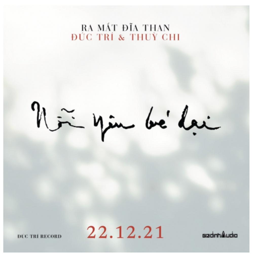 ALBUM : NỖI YÊU BÉ DẠI