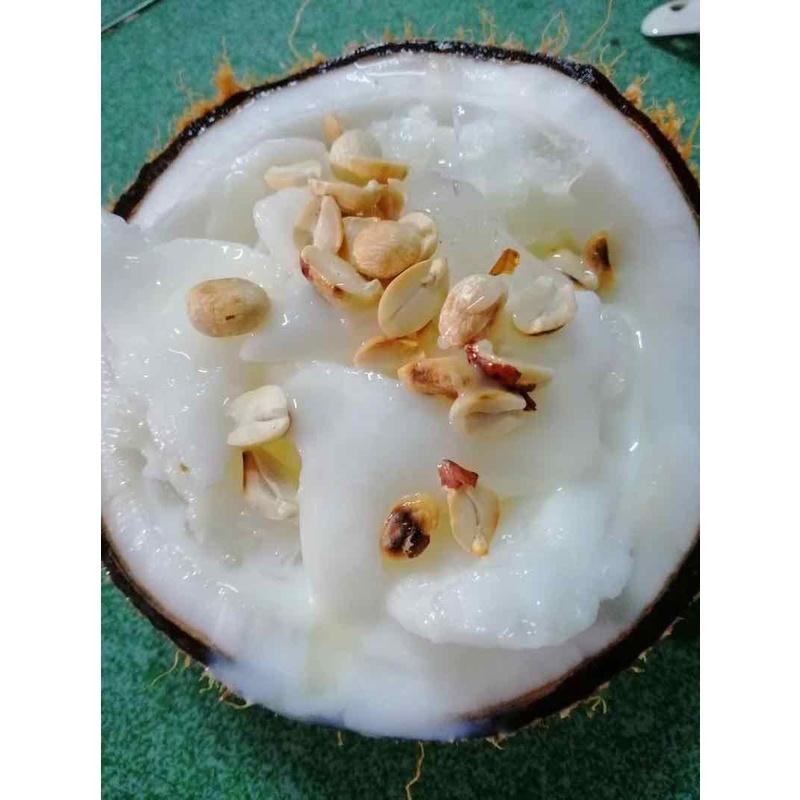 Cây giống dừa sáp hàng chuẩn F1
