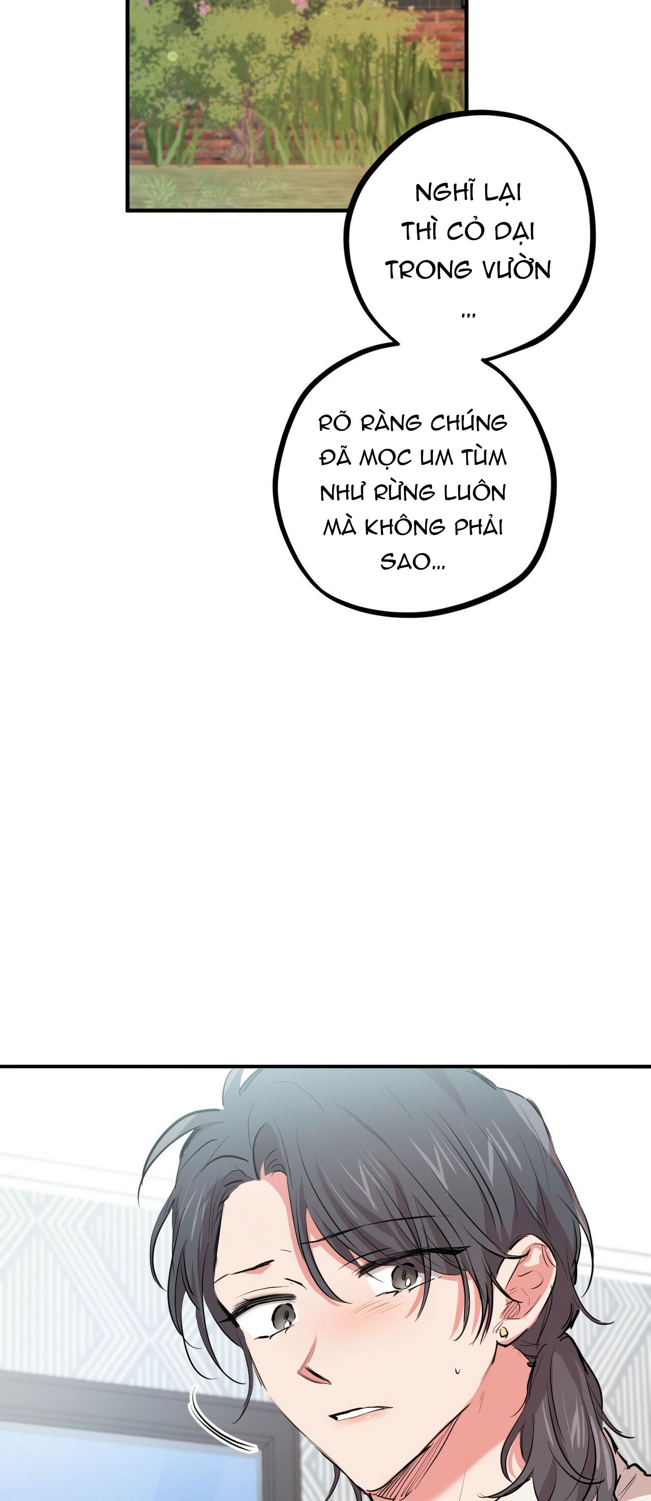 những chú thỏ của hapypy chapter 29 54