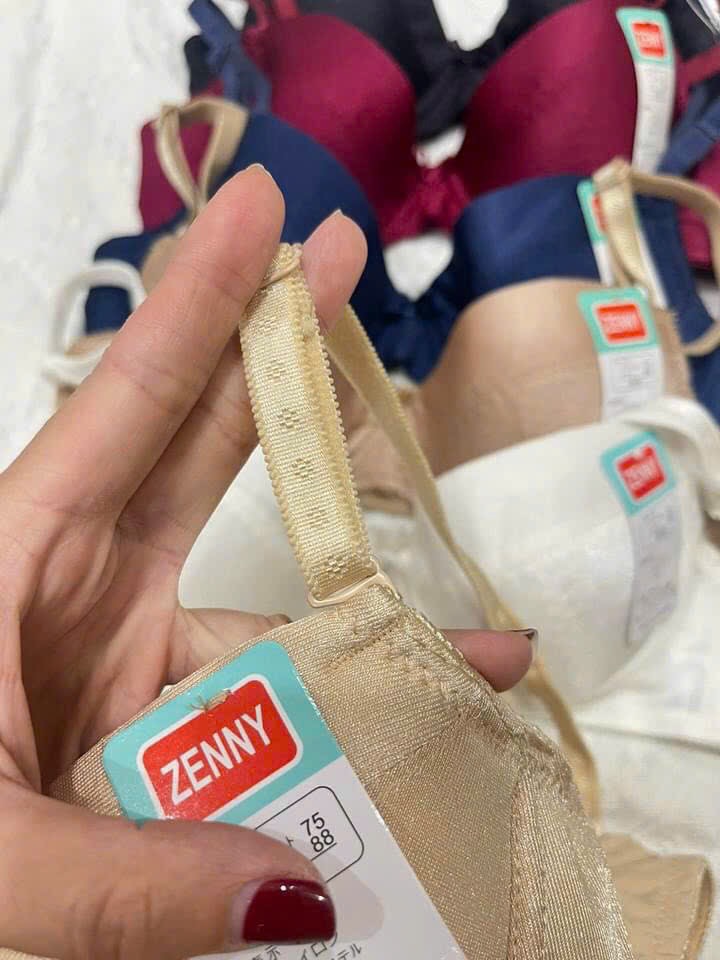 Áo Lót Nữ Mỏng Trơn Có Gọng Cúp Ngang Cài Sau 2 Móc Zenny 305 – Ôm Vừa, Nhẹ Nhàng