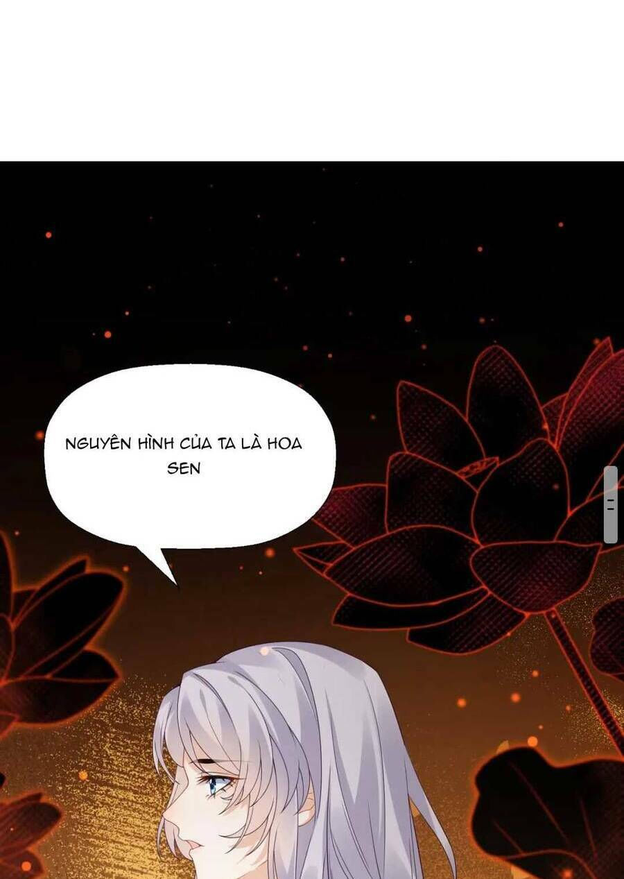 phúc hắc hoa yêu mua một tặng một chapter 7 1