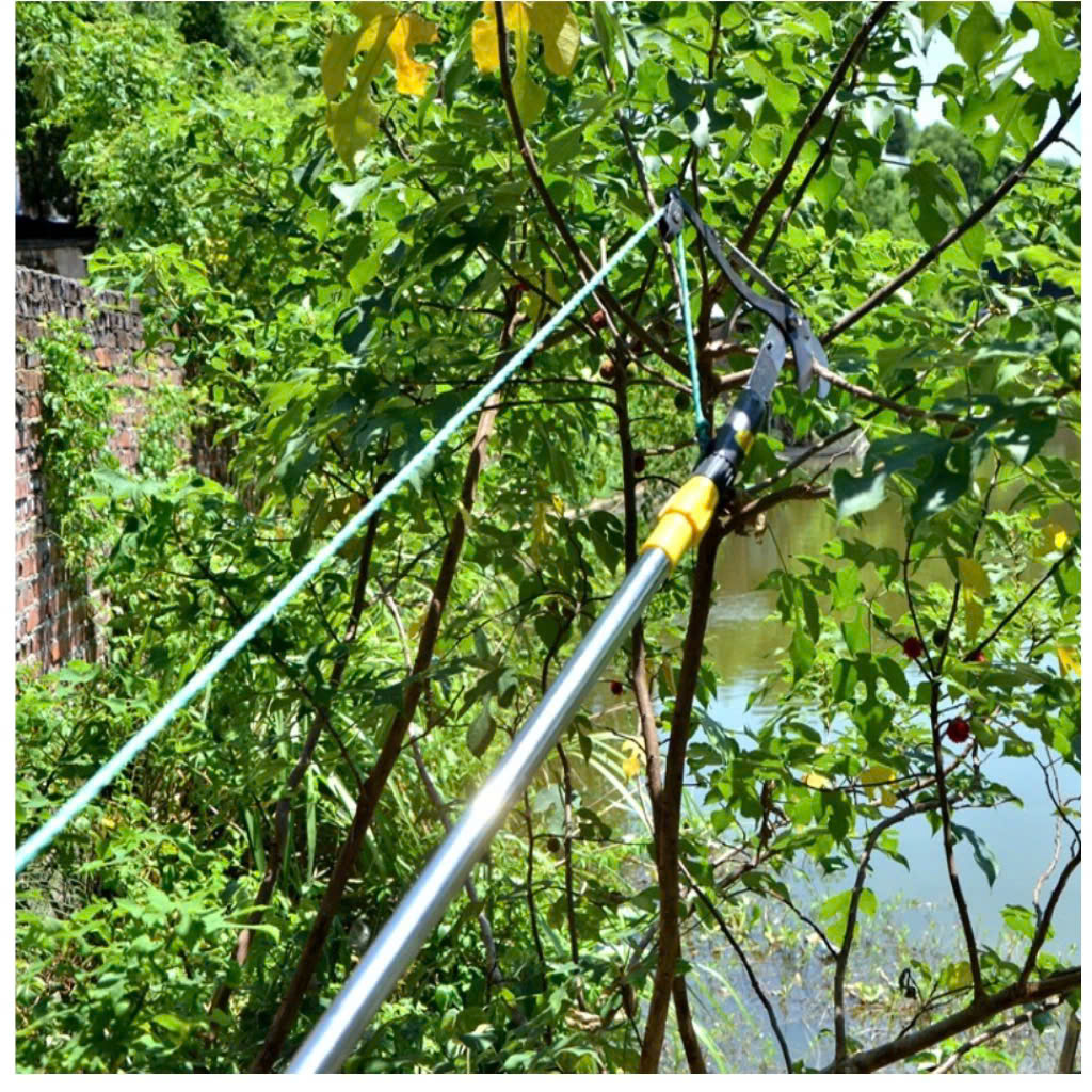 Kéo Cắt Cành Cây Hái Quả Trên Cao, Siêu Bén – Hàng Gia Công Làng Nghề Loại Tốt