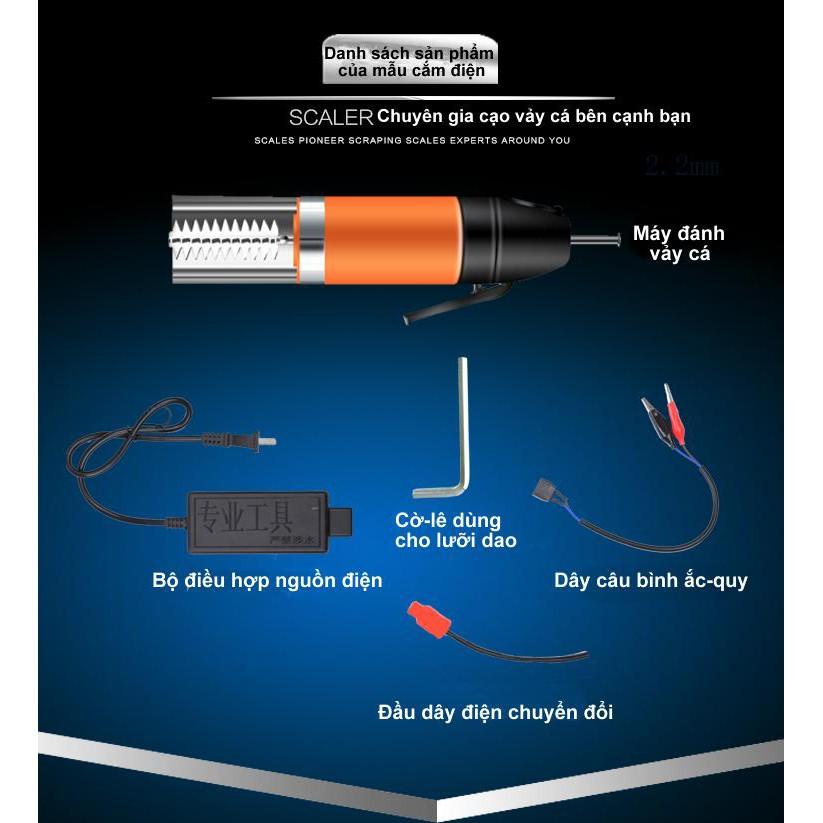 Máy đánh vẩy cá inox 304 IPX7