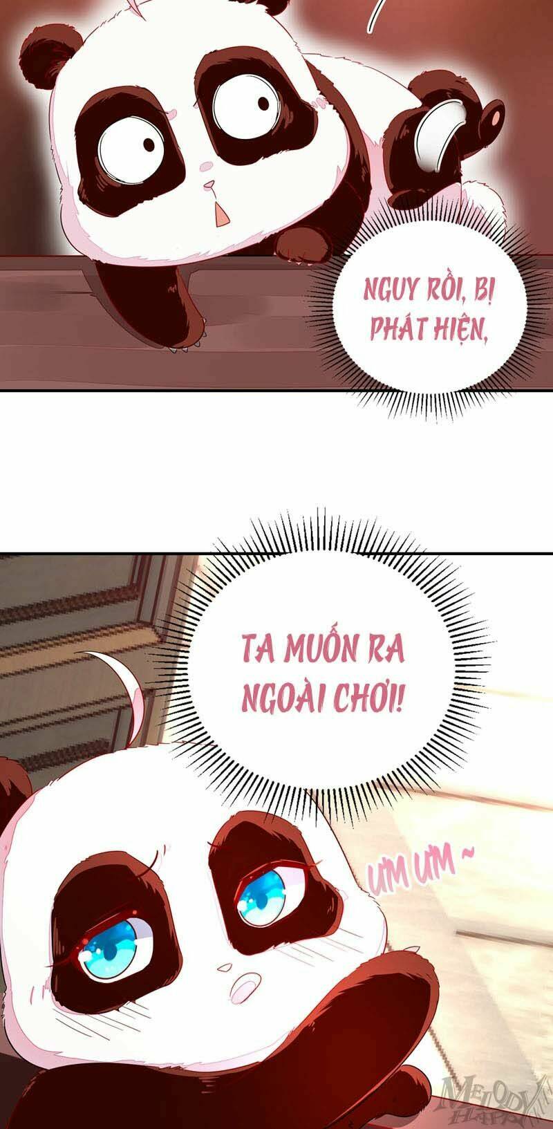 thiên thần gấu trúc muốn được ôm chapter 45 7