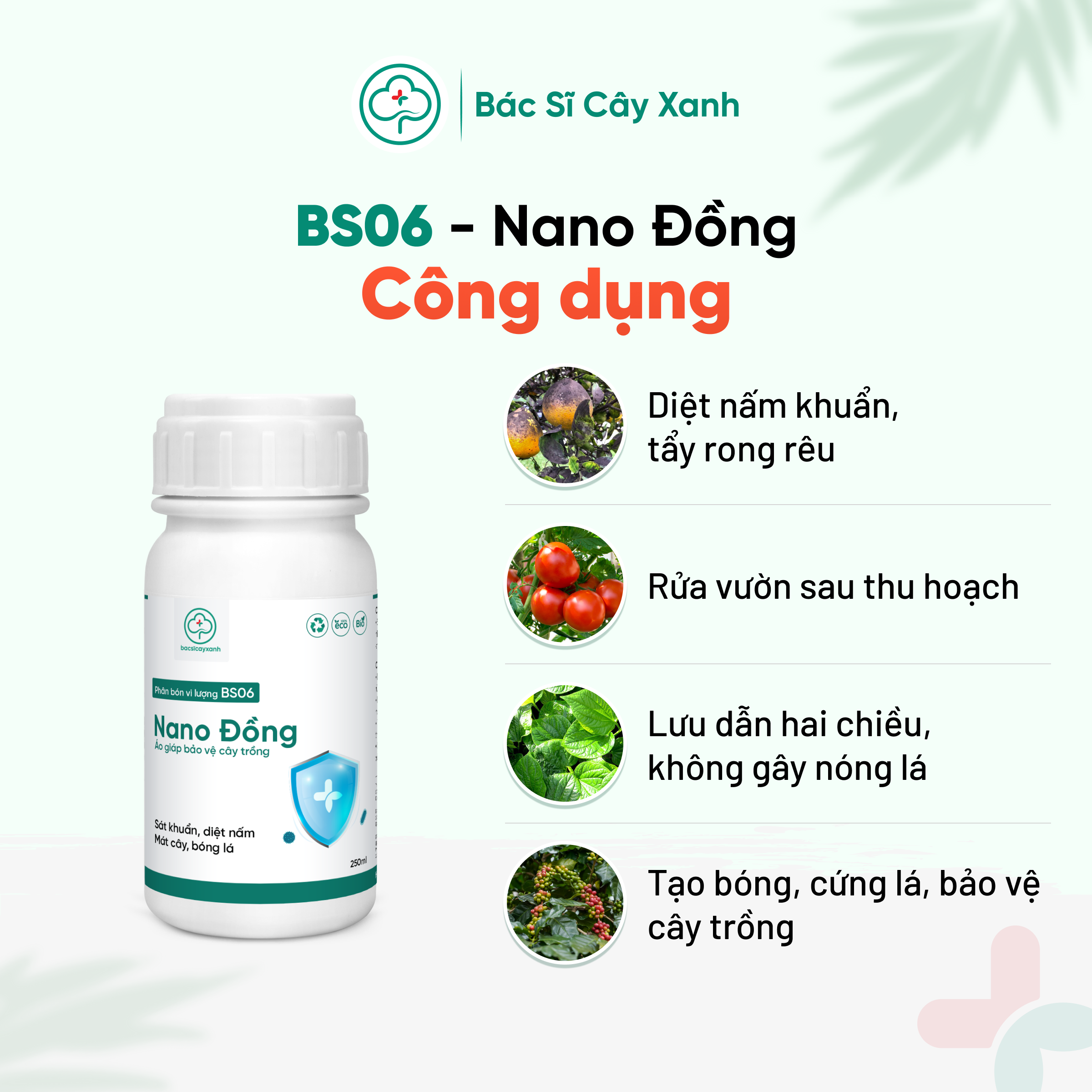 Phân bón vi lượng BS06 Nano Đồng Rửa vườn, tẩy rong rêu, nấm móc, phòng ngừa bệnh cây trồng 250/500ml NSX Bacsicayxanh