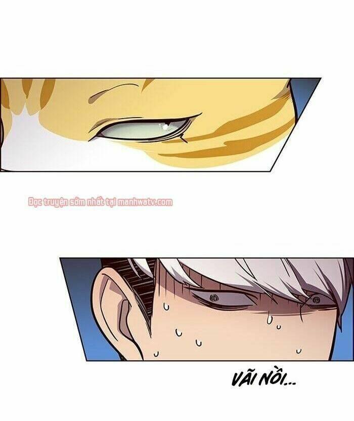 biến thân thành mèo chapter 49 79