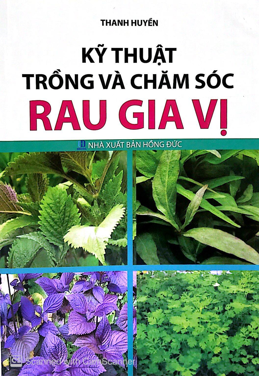 Kỹ Thuật Trồng Và Chăm Sóc Rau Gia Vị