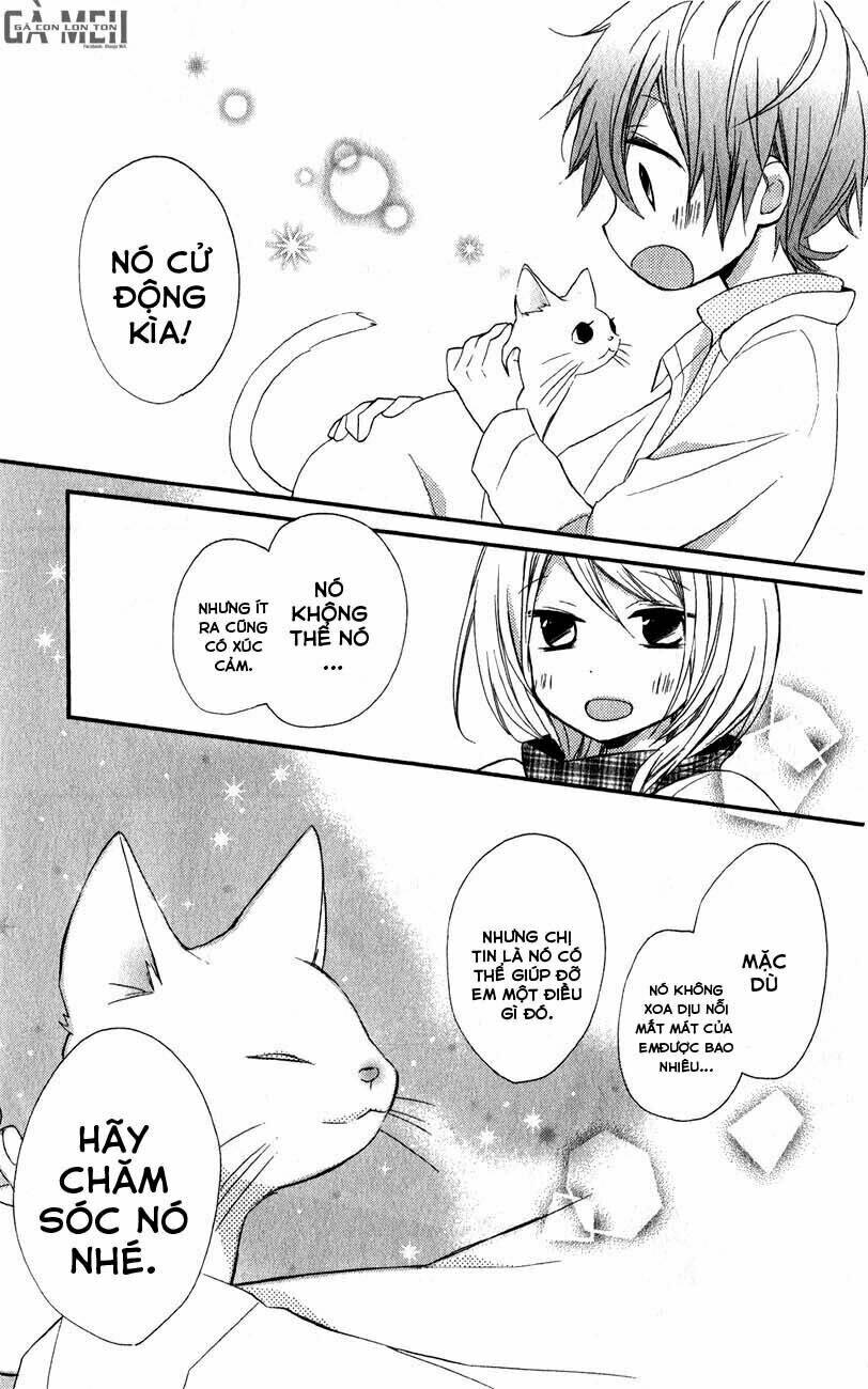 sugar girl, sugar dolls chapter 3 35