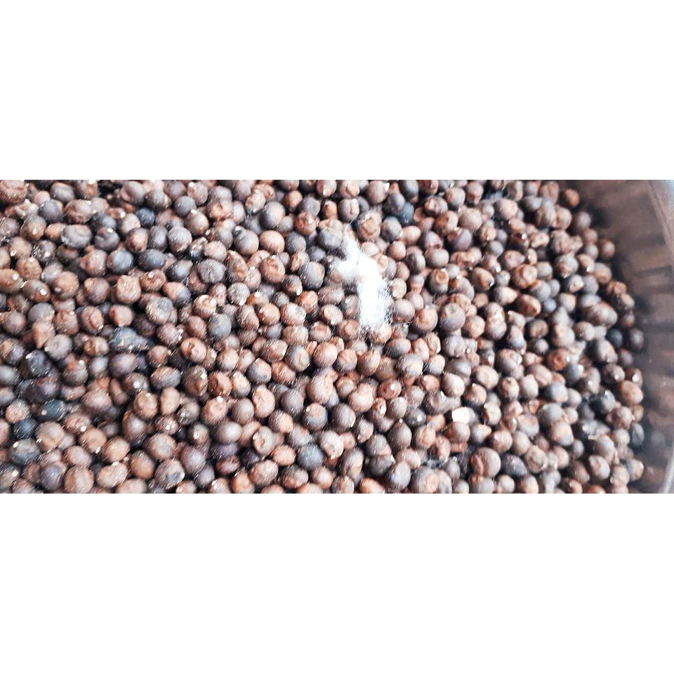 200gram hạt bông gòn giống