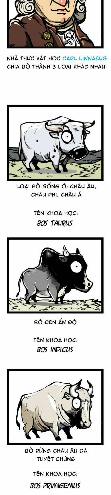 earth, human, and animal chapter 24 17