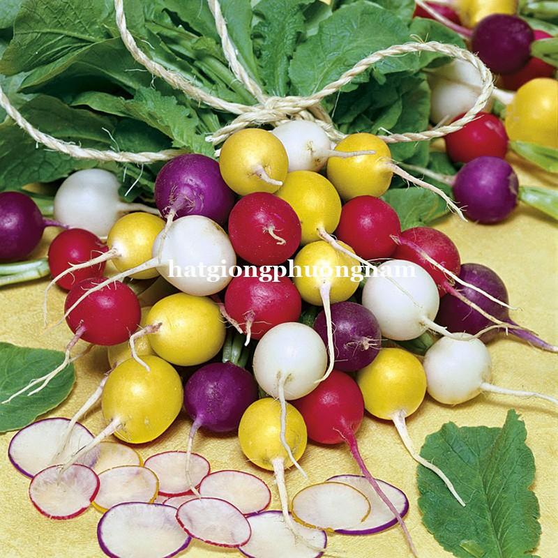 100H - HẠT GIỐNG CỦ CẢI CHERRY MIX