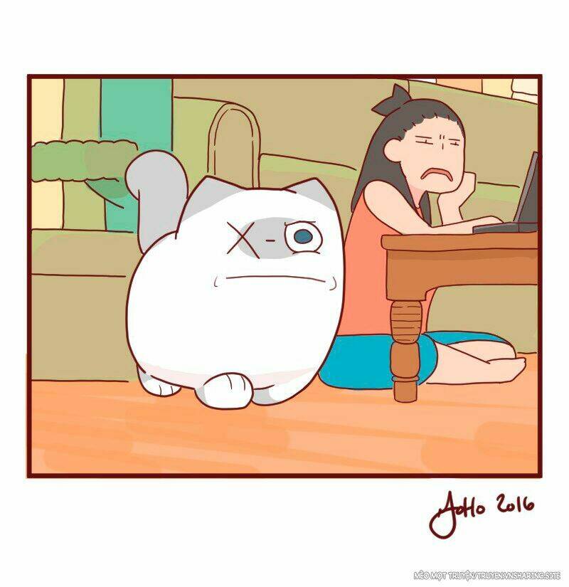 saphie: chú mèo một mắt chapter 9 9