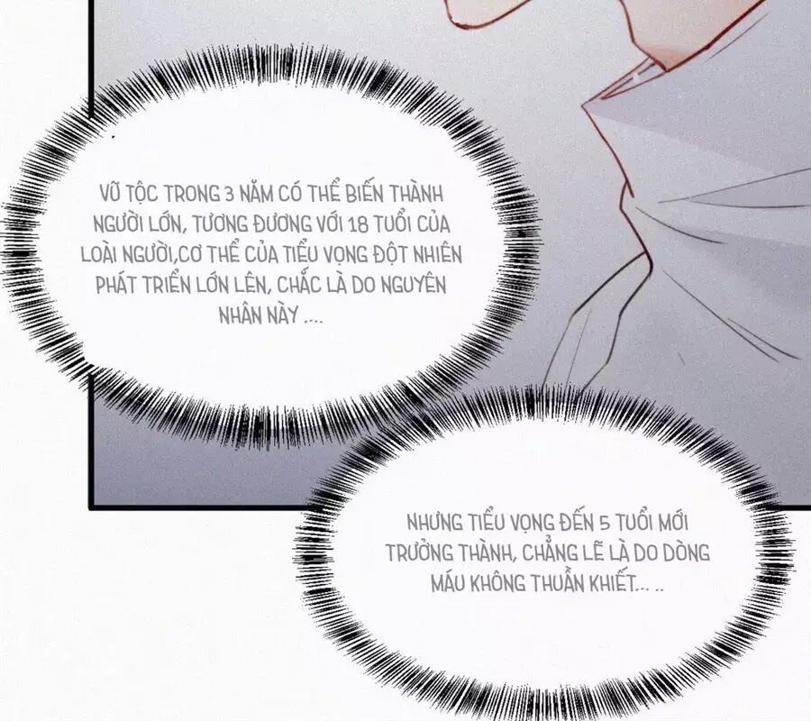 triều tây, in or out chapter 4 7