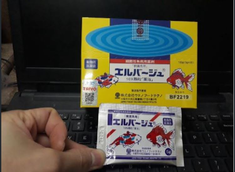 Tetraa Nhật gói 5g chuẩn hàng của Nhật dưỡng cá khoẻ, xử lý nấm cho cá