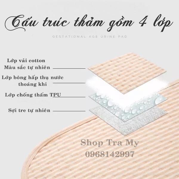 Tấm lót chống thấm 4 lớp Organic Cotton cao cấp