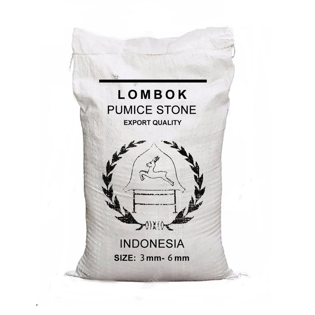 Đá Pumice (đá bọt núi lửa) Indonesia LÍT