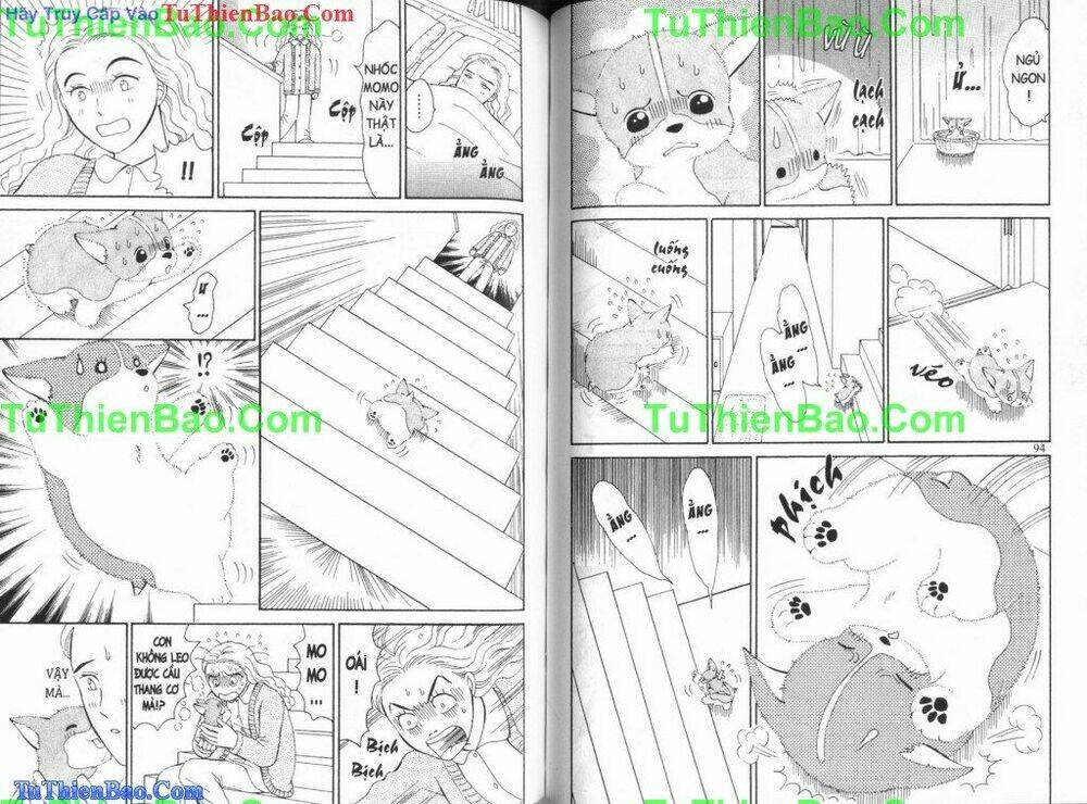 chó con mo mo chapter 3 49