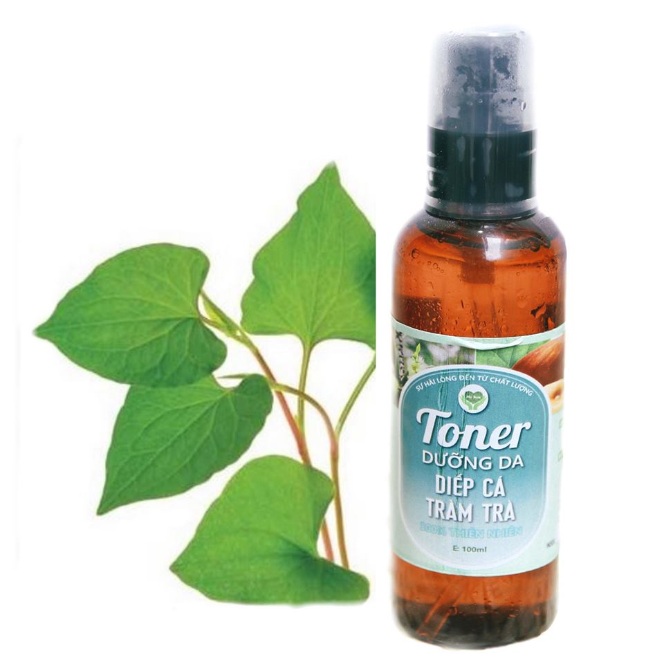 TONER DIẾP CÁ TRÀM TRÀ MẸ KEN - 100ML