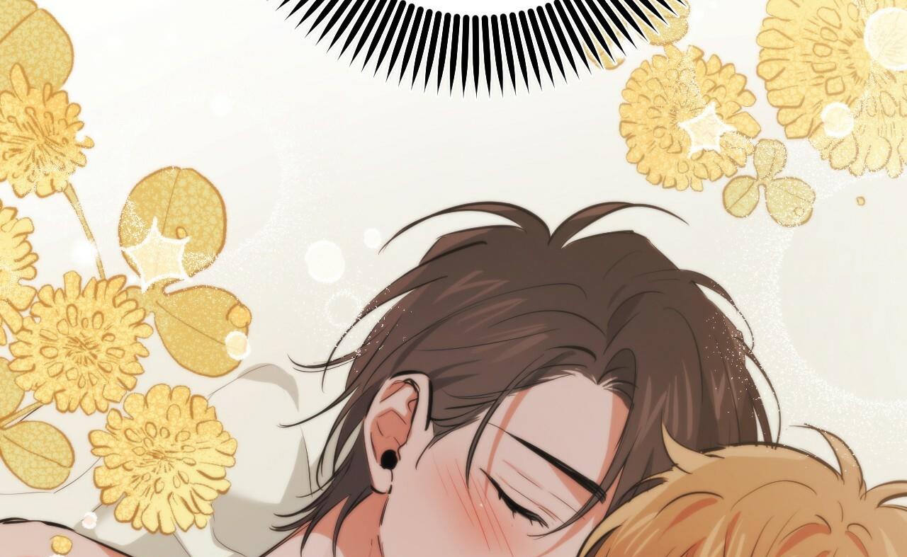 đàn thỏ của habibi chapter 52 31