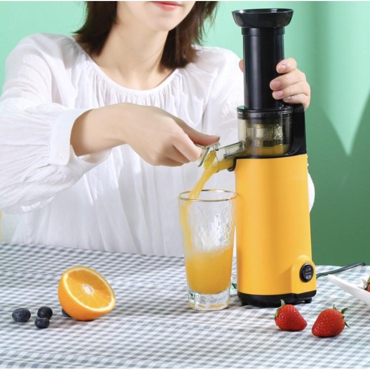 Máy ép chậm mini Ninesheld  - Ép trái cây, hoa quả siêu kiệt bã