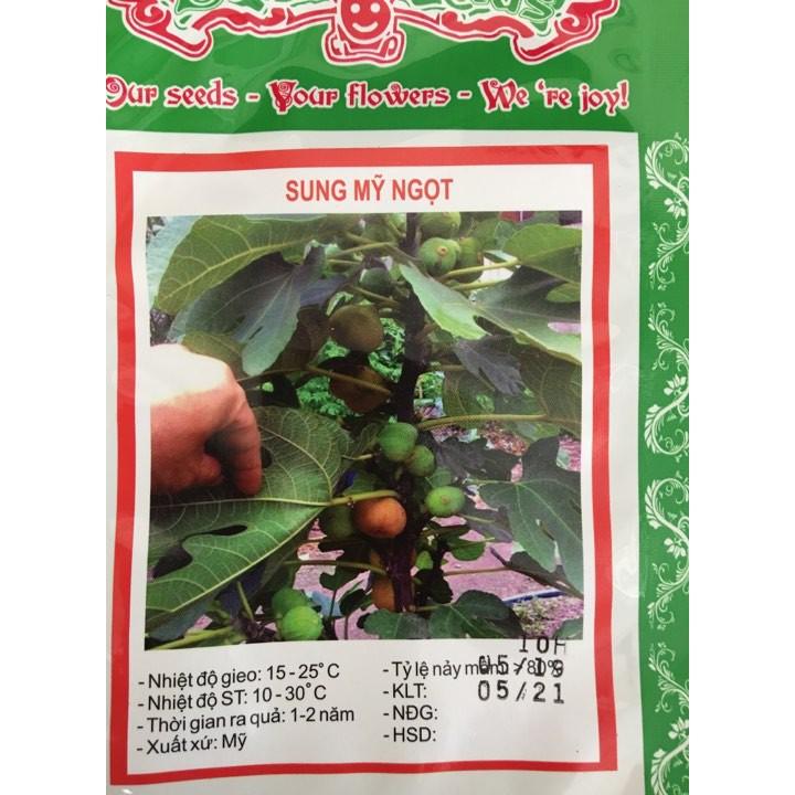 Hạt giống sung Mỹ 5 hạt/ gói