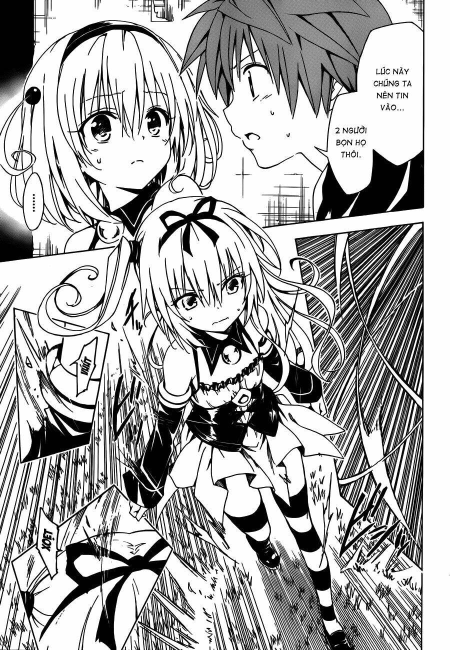 bọn tớ thích cậu! rito 2 - venus chapter 29 13