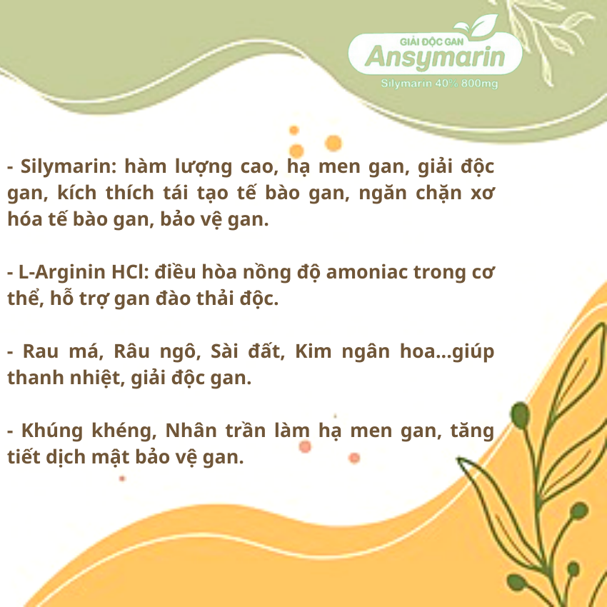 Viên uống Giải Độc Gan Ansymarin giúp thanh nhiệt mát gan. Hỗ trợ tăng cường chức năng gan Hộp 30 viên
