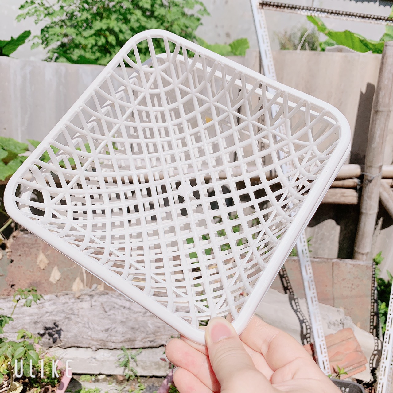 Ổ đẻ cho chim Bồ câu có kèm vanh sắt