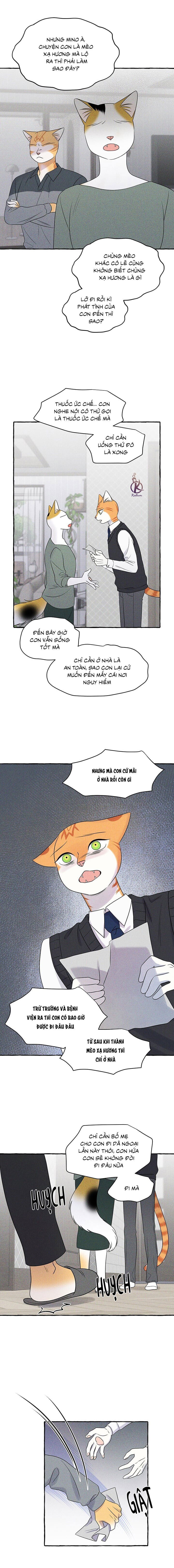 dự án xanh chapter 51 10