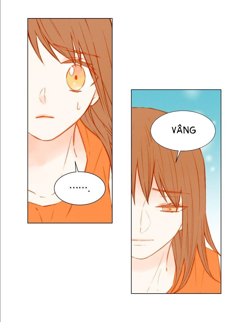 sao chép chapter 39 34