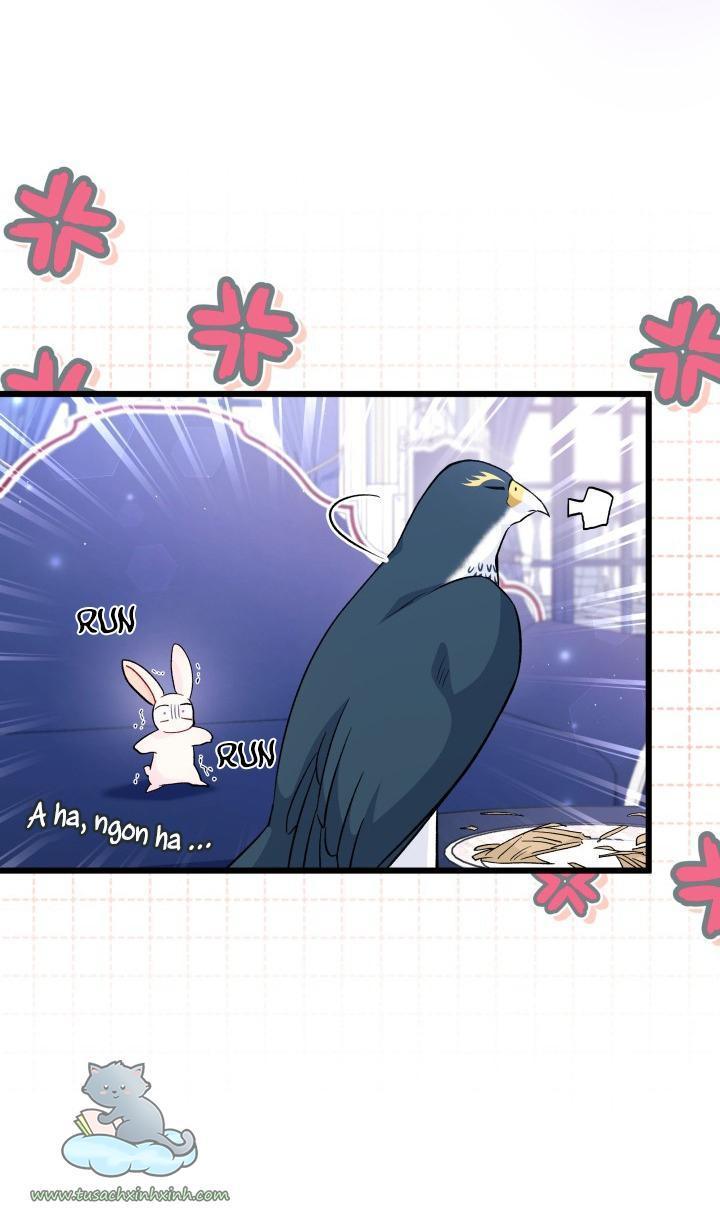 quan hệ cộng sinh giữa báo đen và thỏ trắng chapter 55 5