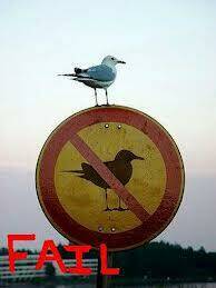 hình ảnh hài hước new chapter 12 32