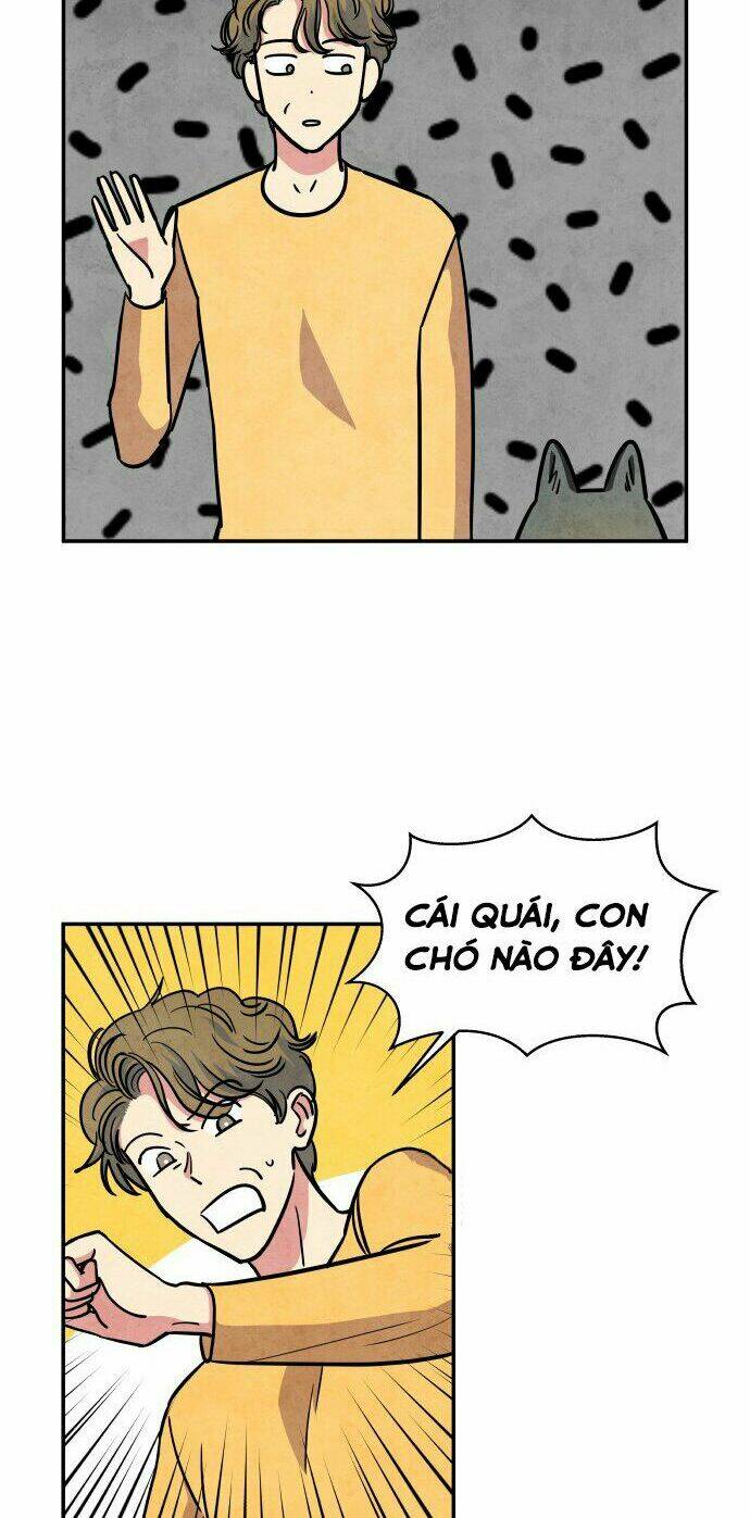 tai sói và mũ đỏ chapter 30 27