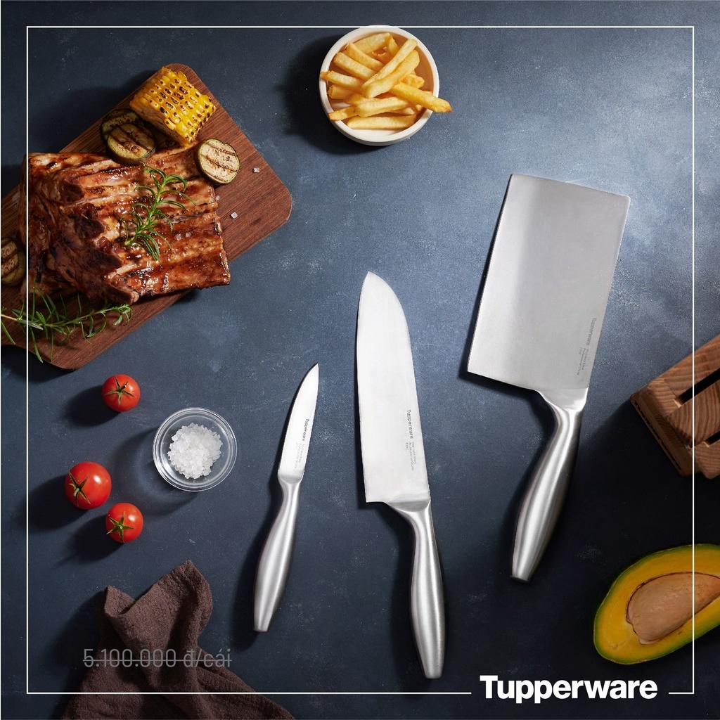 Bộ Dao Classic Pro Asian Knife Set 3 - Tupperware