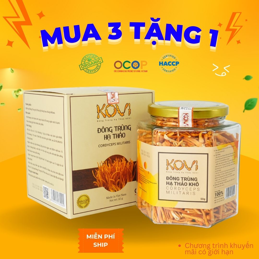 [Mua 3 tặng 1] Đông trùng hạ thảo KOVI khô sấy thăng hoa 50g | Combo ưu đãi