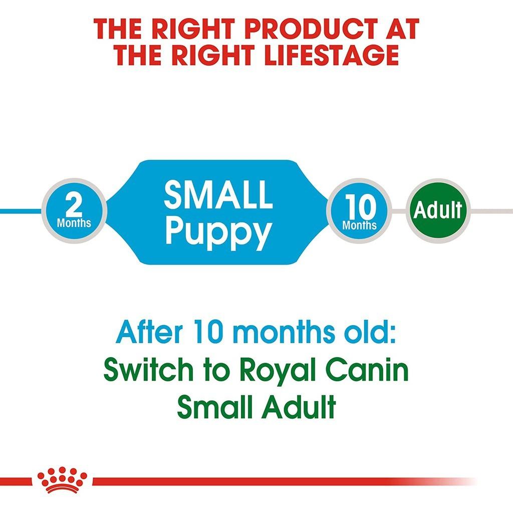 Royal Canin Mini Puppy 2kg -Thức ăn hạt cho chó con cỡ nhỏ, thức ăn cho thú cưng