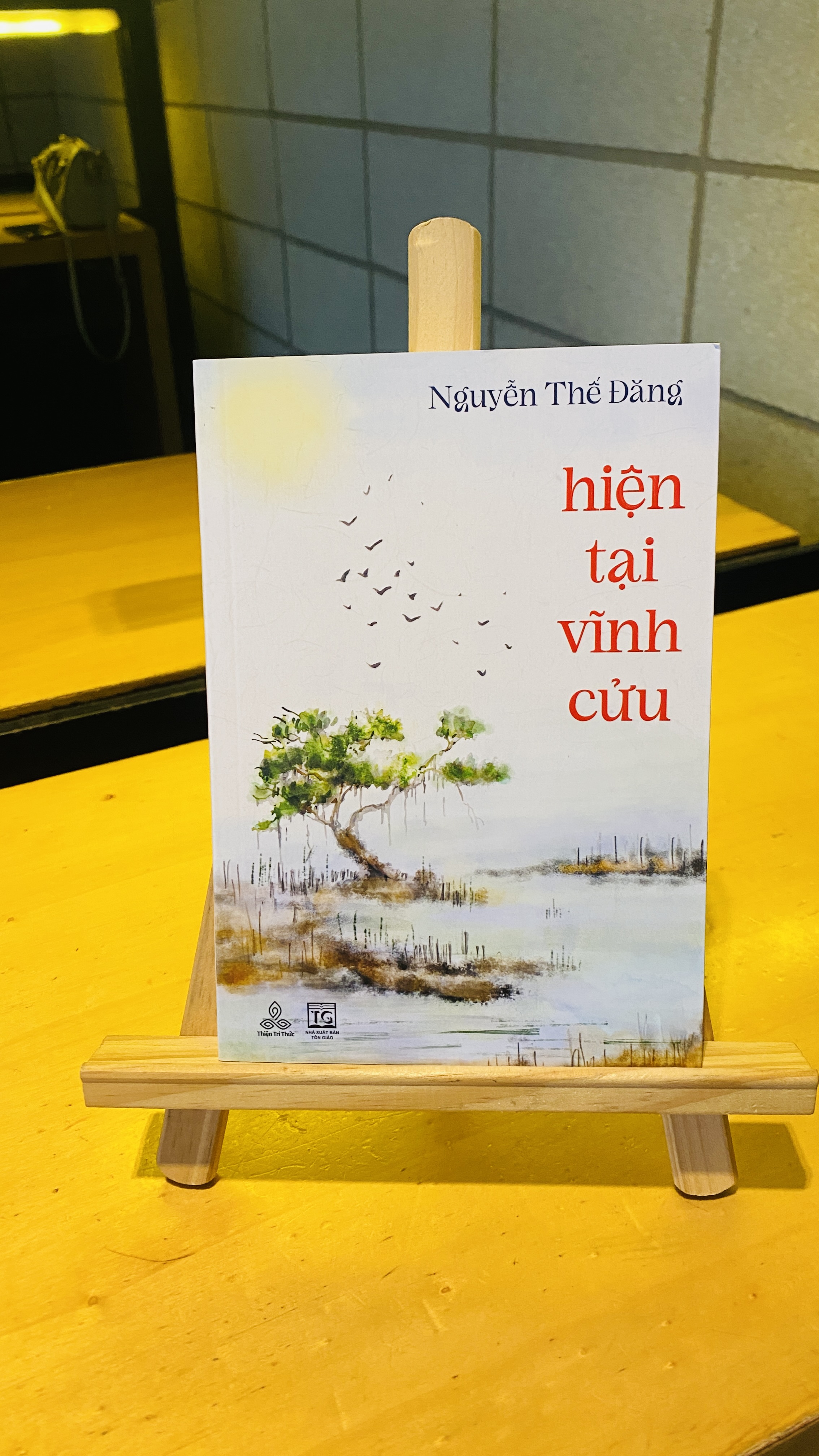Combo 4 cuốn của tác giả Đương Đạo Nguyễn Thế Đăng