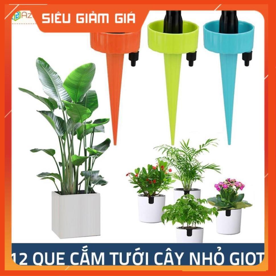 Set 12 que cắm tưới cây nhỏ giọt  206801