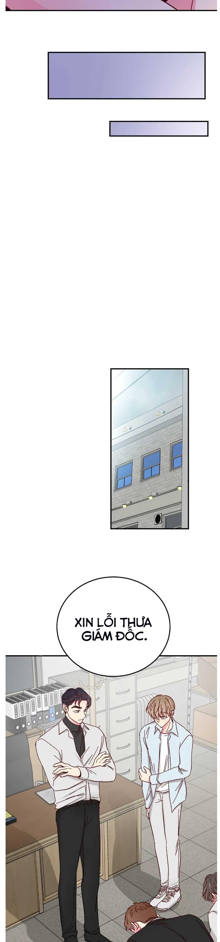 món tráng miệng của sếp tổng chapter 65 10