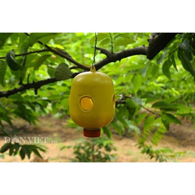 Lồng bay ruồi vàng,bây ông sét 5 hộp