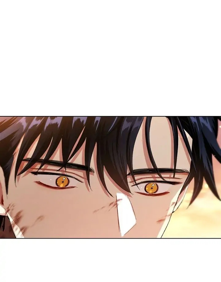 tôi là fan cứng hoàng tử chapter 62.2 49