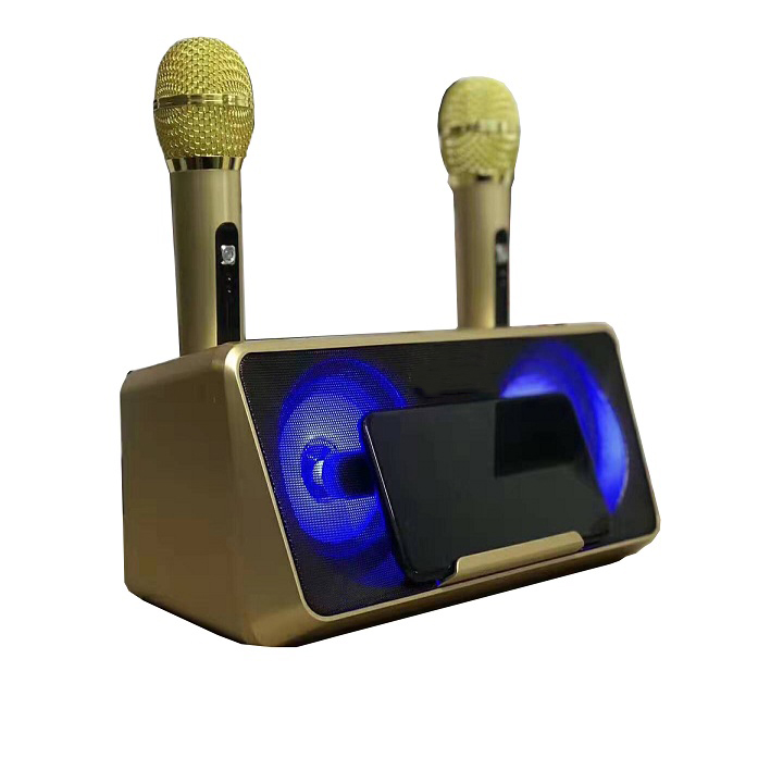 Loa nghe nhạc kèm đôi micro SDRD-301 loa mic karaoke di động cao cấp, kết nối bluetooth không dây chạy thẻ nhớ, USB,... thiết bị giải trí đa năng tại nhà ( giao ngẫu nhiên)