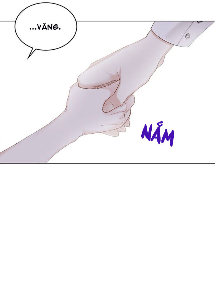 tìm lại nàng camellia chapter 2 56