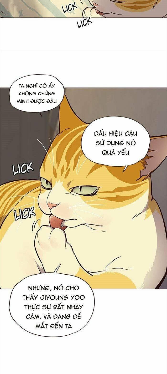 biến thân thành mèo chapter 29 19