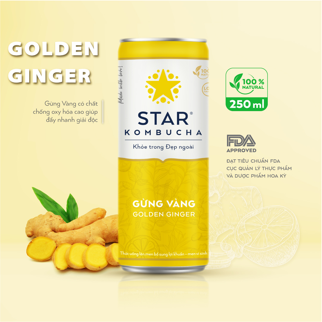 Combo 4 lon mix vị Thức uống lên men STAR KOMBUCHA - Detox Pack (250ml/lon)