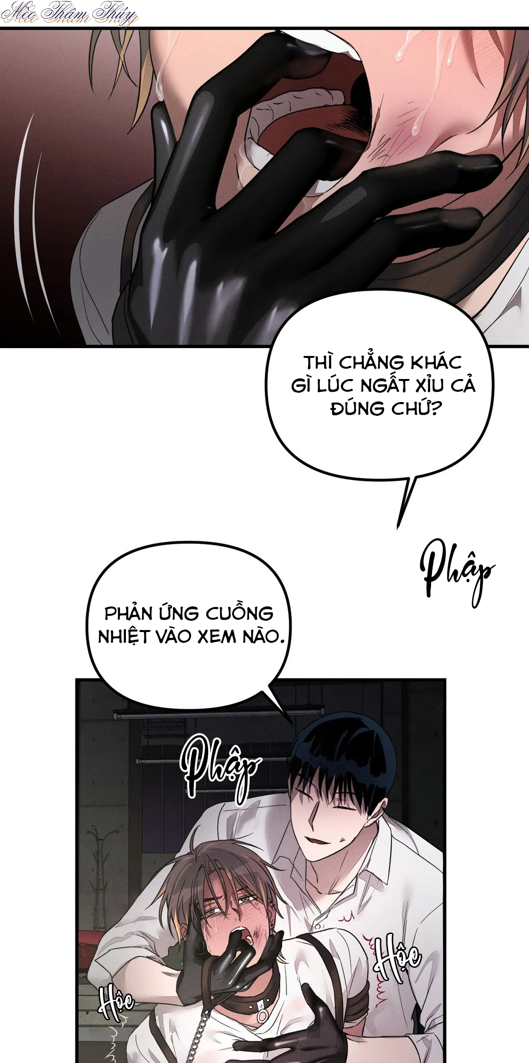 huấn luyện thú cưng chapter 3 6