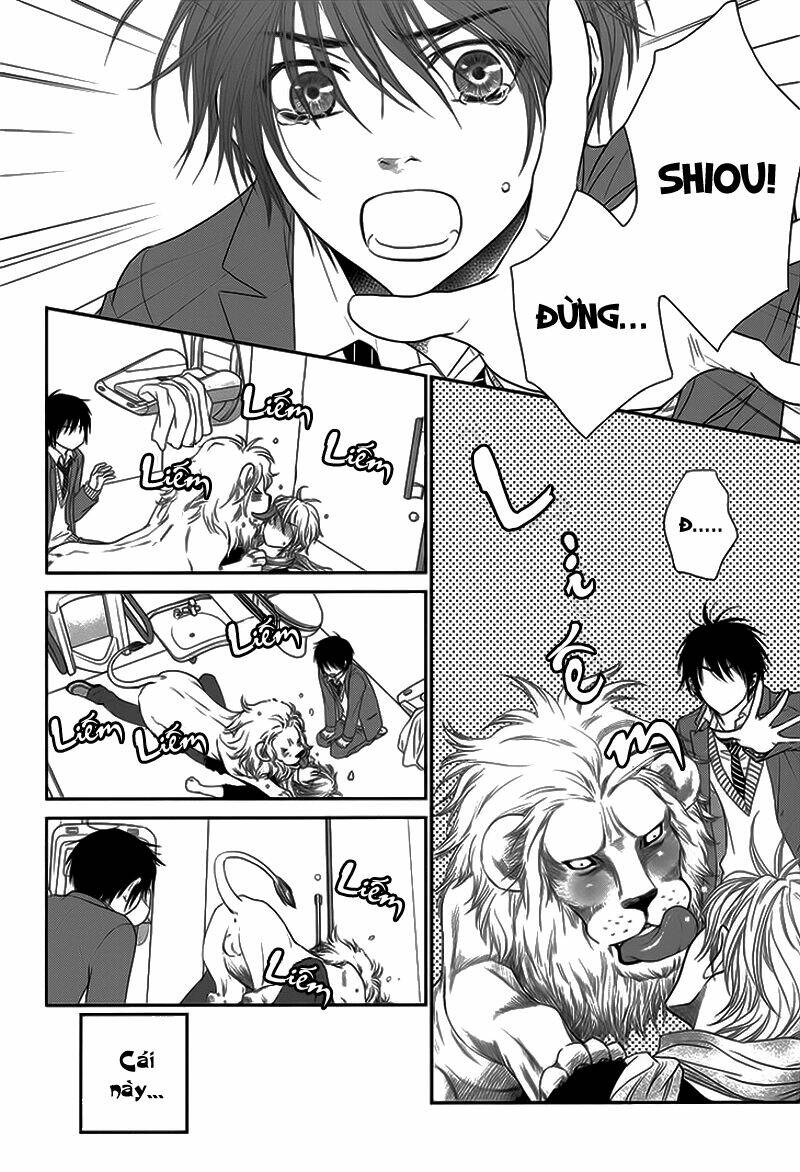 nekoka danshi no shitsukekata chapter 11 30