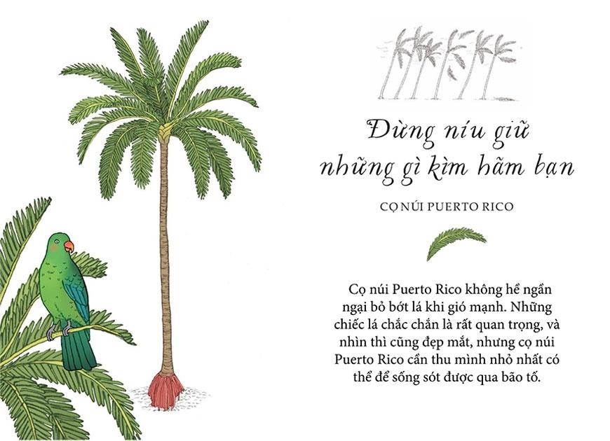 Sống Như Những Cái Cây - Những Bài Học Nhỏ Để Có Nguồn Hạnh Phúc Bất Tận (Tái Bản 2021)