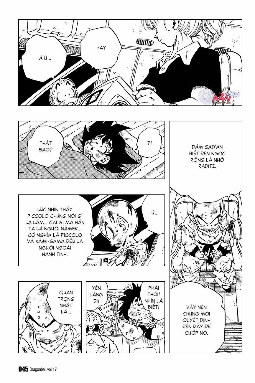 dragon ball - bảy viên ngọc rồng chapter 242 11