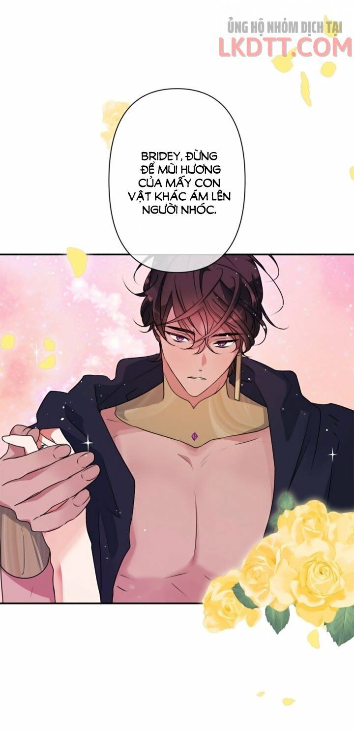 tôi đang nuôi dưỡng một con quái thú chapter 34 47